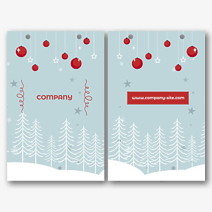 Christmas Gift Package Template